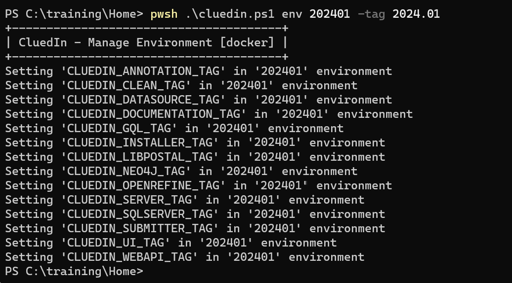 Terminal output of pwsh .\cluedin.ps1 env 202401 -tag 2024.01, setting each CLUEDIN image tag in the 202401 environment